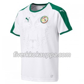 Jalkapallo Pelipaidat/Peliasut Senegal Kotipelipaita World Cup 2018